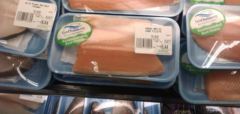 recommended species arctic char